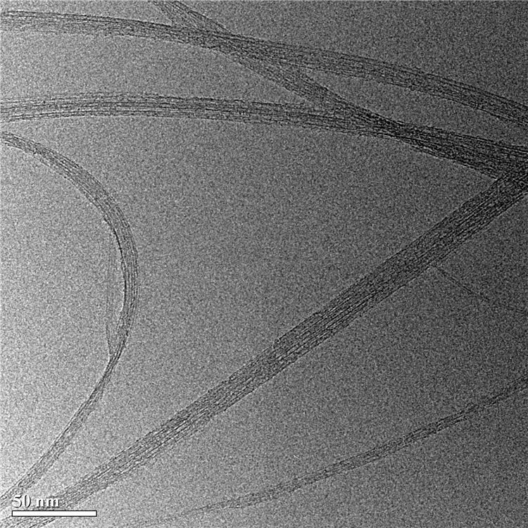 Single-walled Carbon Nanotubes-Conductive Agent for Solid State Battery